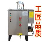 電加熱蒸汽發(fā)生器鍋爐(LDZ(K)0.032-0.7-24KW)