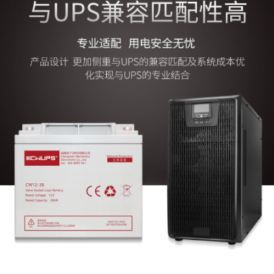 廠家直供電腦后備式ups不間斷電源500VA監(jiān)控設(shè)備后備電源應(yīng)急電源